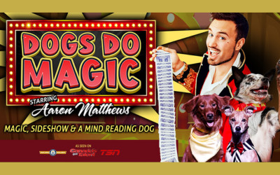 Dogs do Magic - A Canine Illusion Show, March 23, 2024 Aultsville Theatre, Cornwall, ON
